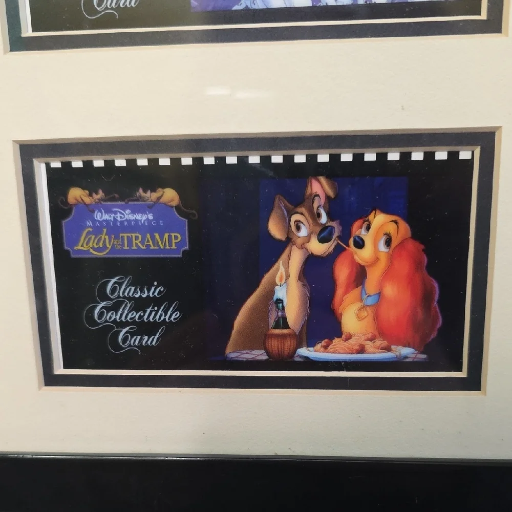 Disney showcase magic